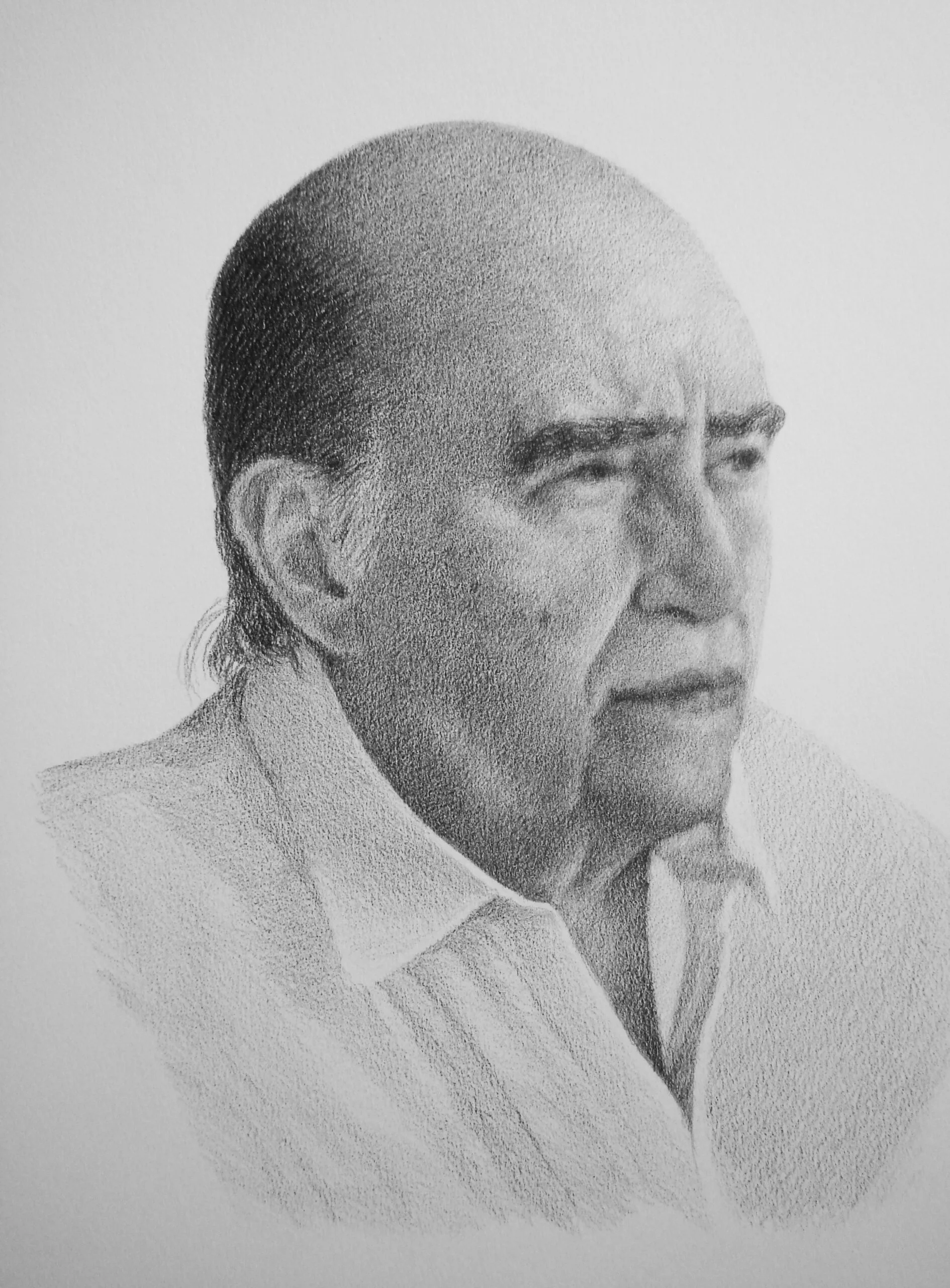 Portfólio Ilustração