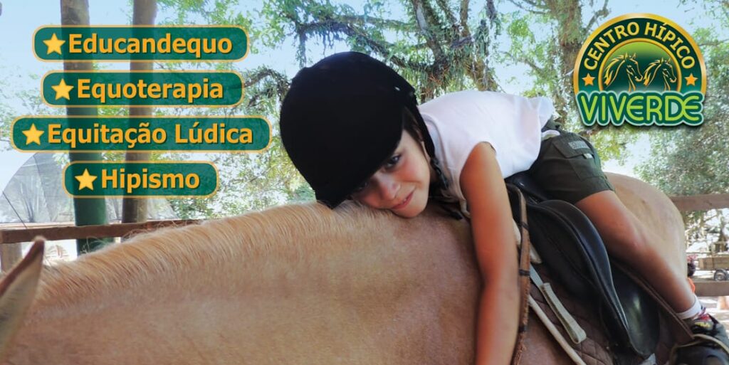 Portfólio Escola